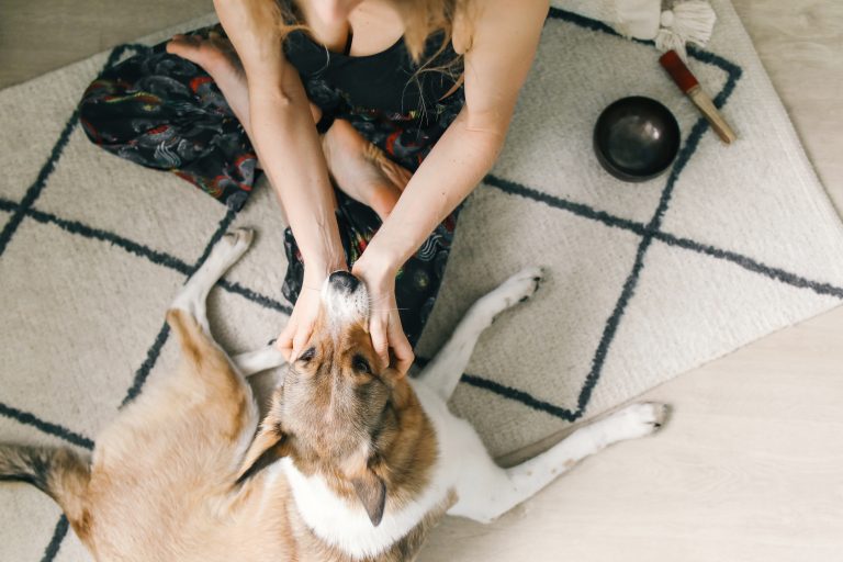 Pourquoi mon chien me surveille ?